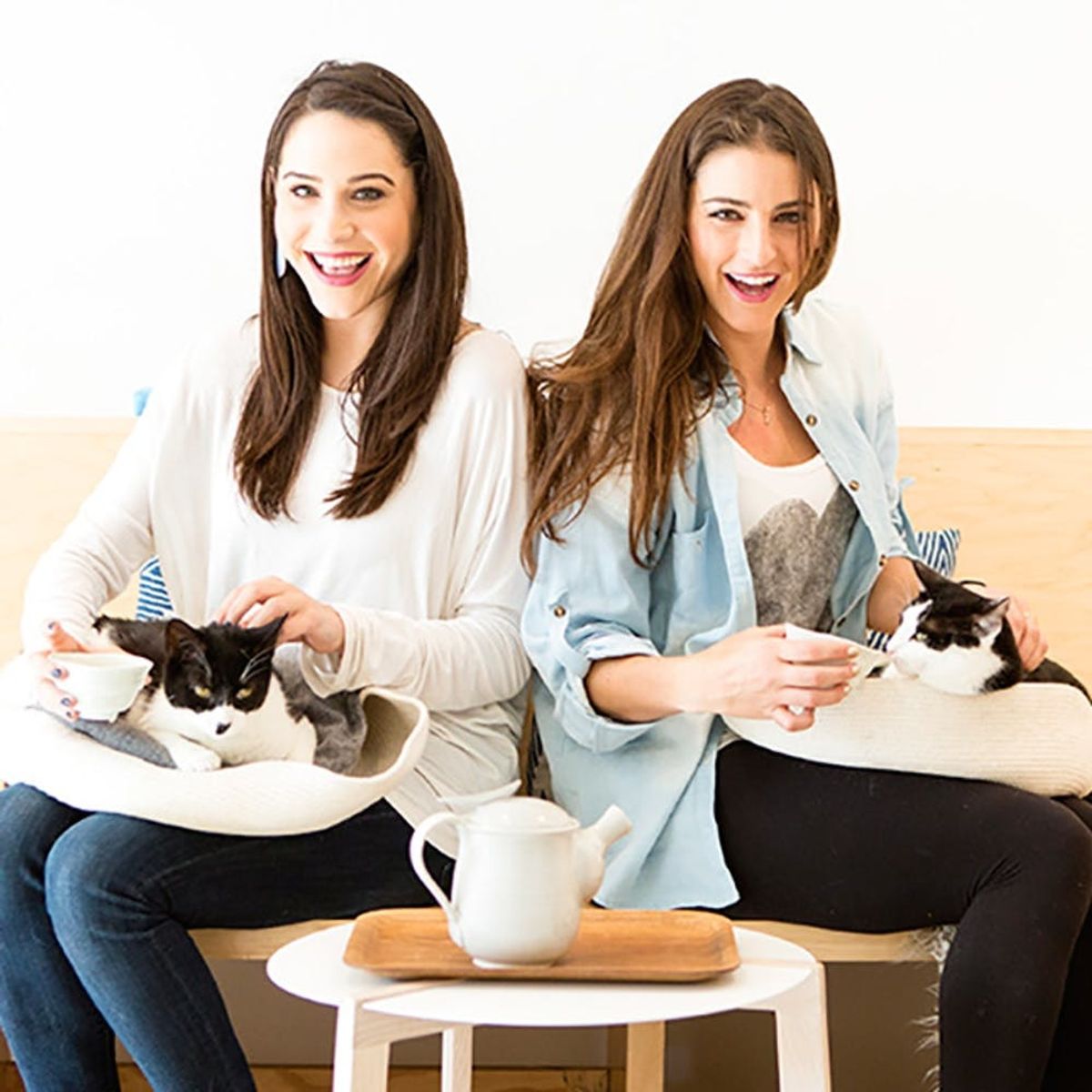 2 Ladies Crazy About Cats Set the Record Straight About Crazy Cat Ladies