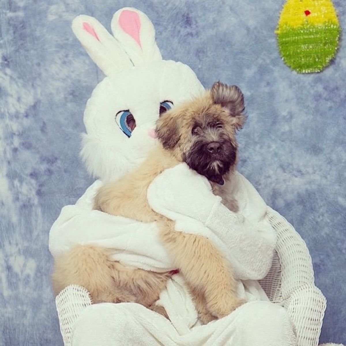 18 Easter #Fails to Distract You from Egg Decorating