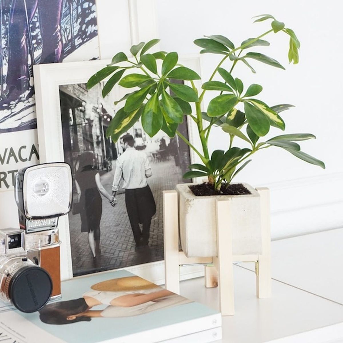 12 Planters and Pots to Hack from Urban Outfitters’ Garden Section