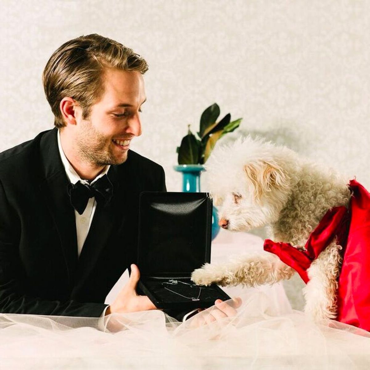 These Dogs Re-Enacting 8 Famous Romantic Movies Will Complete You