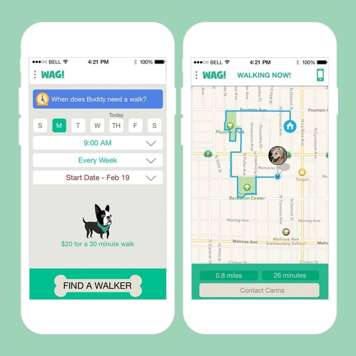 10 Must-Download Apps for Busy Pet Parents
