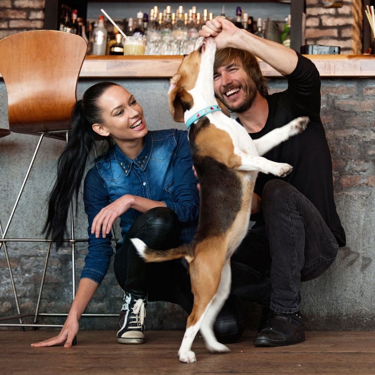 If You Have a Pet and Are Single, You Should Read This