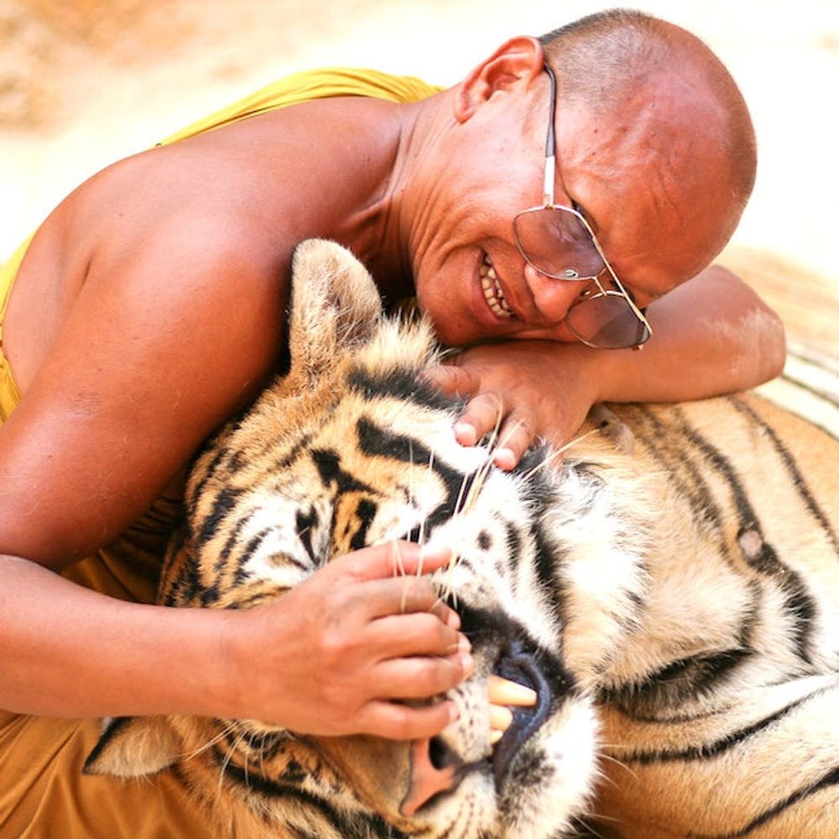 11 Movies + Shows Pet Lovers Need to Be Watching on Netflix