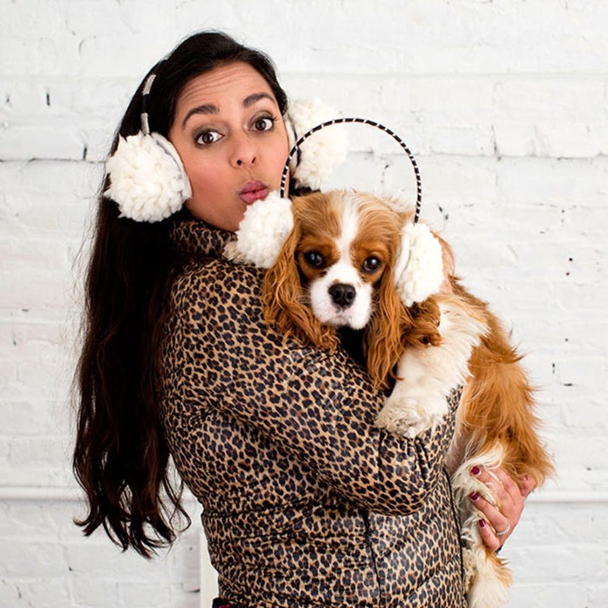 7 Ways to Keep Your Dog Warm This Winter Brit + Co