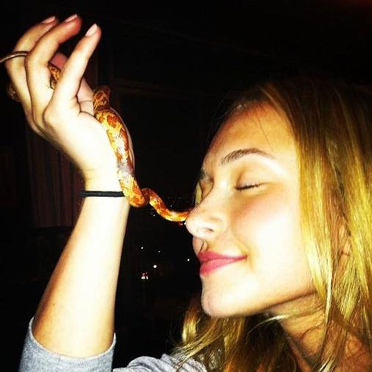 Hayden Panettiere Will Make You Want a Low-Maintenence Pet like Hers