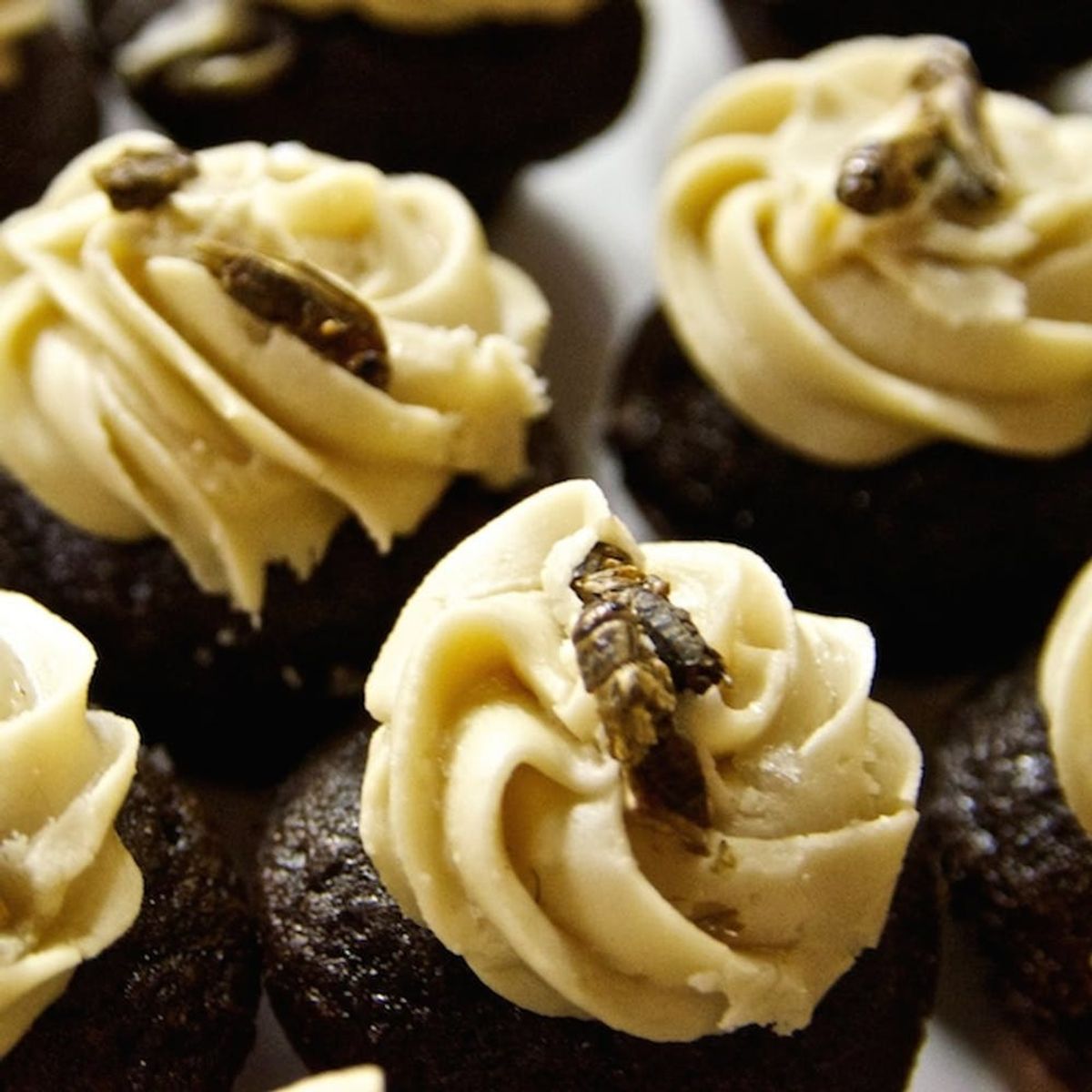 You’ll Bug Out Over the Next Big Food Trend