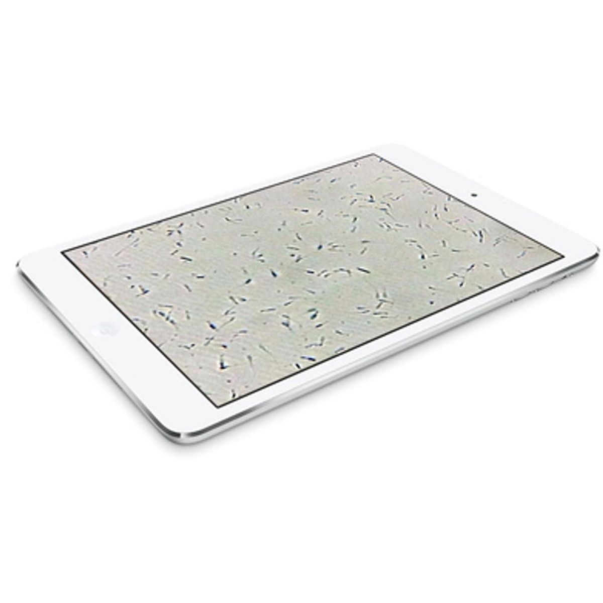 This iPad App Wants to Make at-Home Fertility Testing a Reality