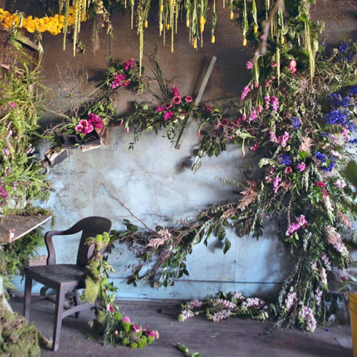 This Gardening Project Brought an Abandoned House Back to Life