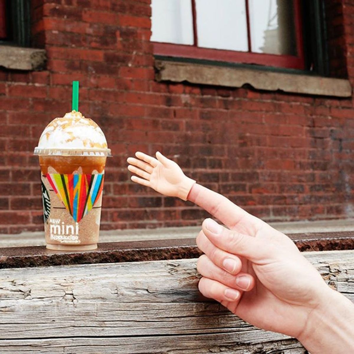 Starbucks’ Newest Drink Is One EVERYONE Will Love