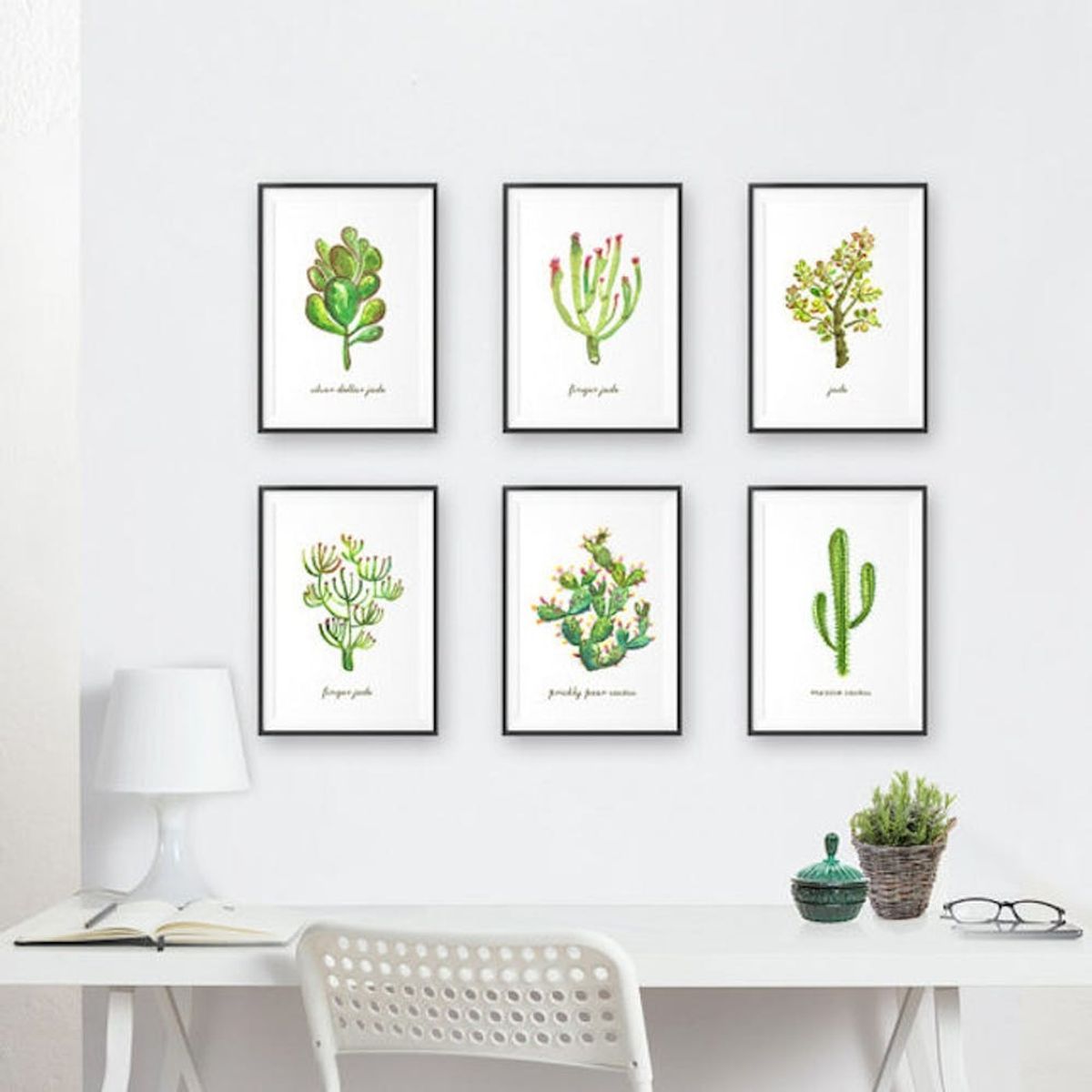 20 Ways to Add Succulents to Your Life Without Gardening