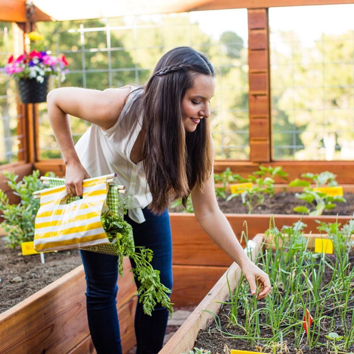 Here’s What to Plant in Your Garden This Spring