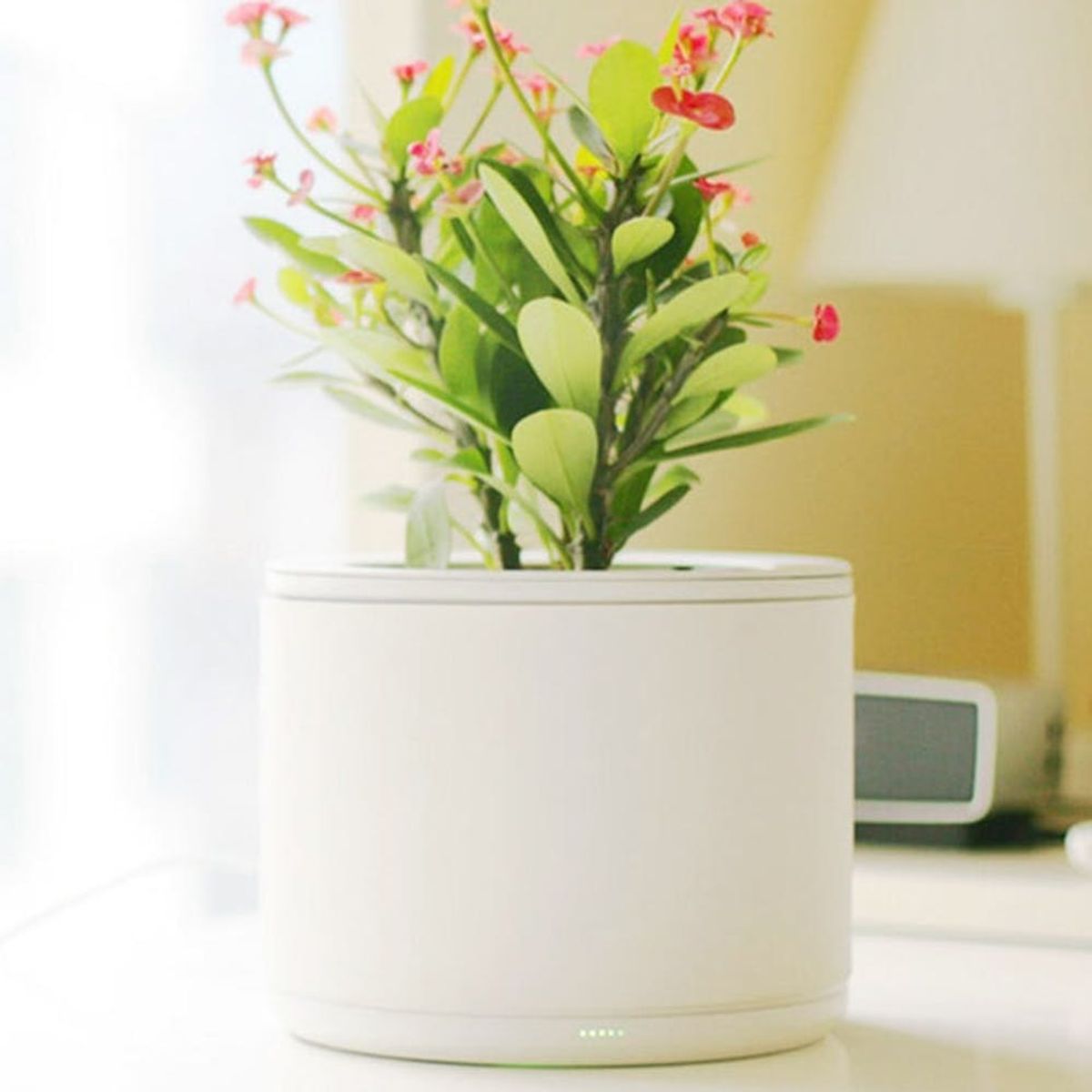 5 Tech Hacks That Guarantee a Green Thumb