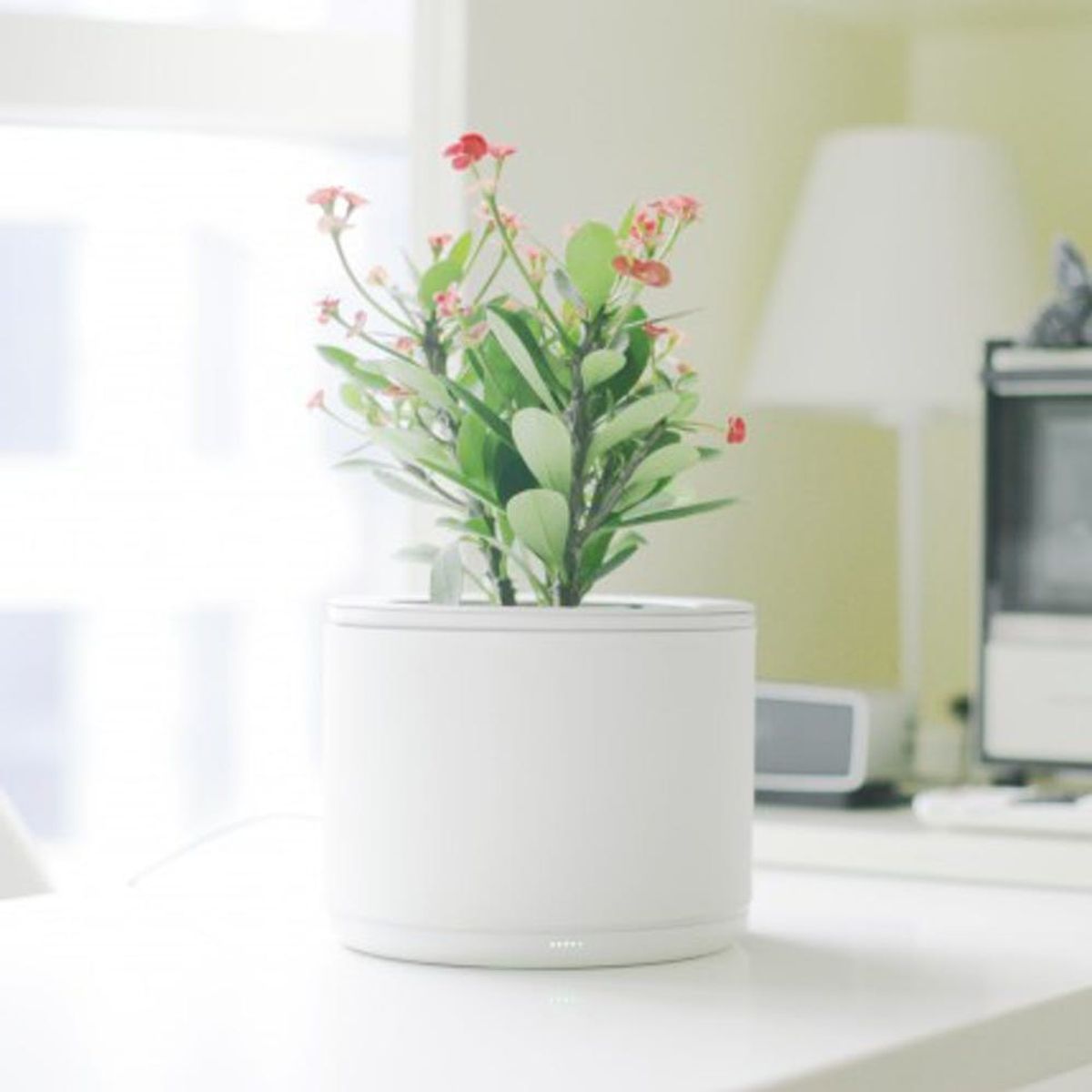 This High-Tech Planter Will Make Sure You Never Kill Another Plant