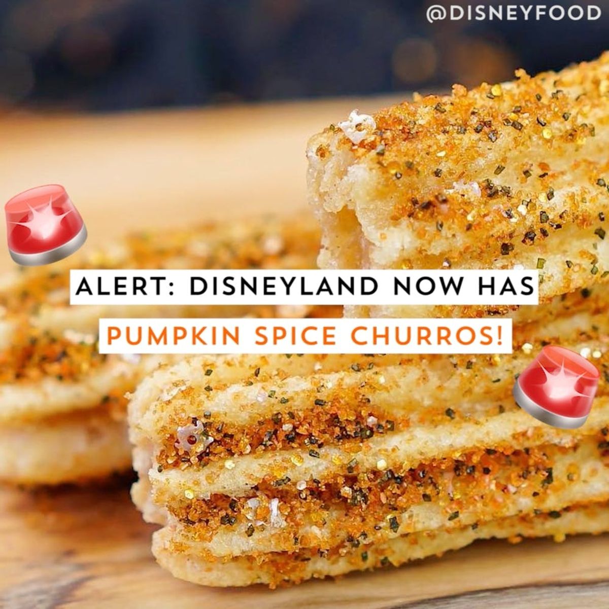 Disneyland Now Has Pumpkin Spice Churros!