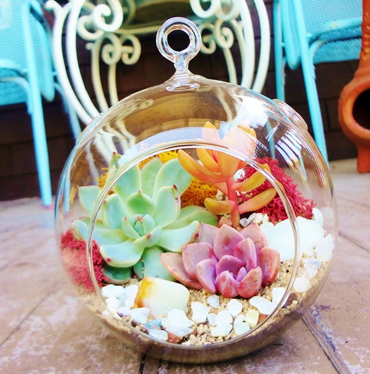 Keep it Glassy: 21 Genius Terrarium Hacks