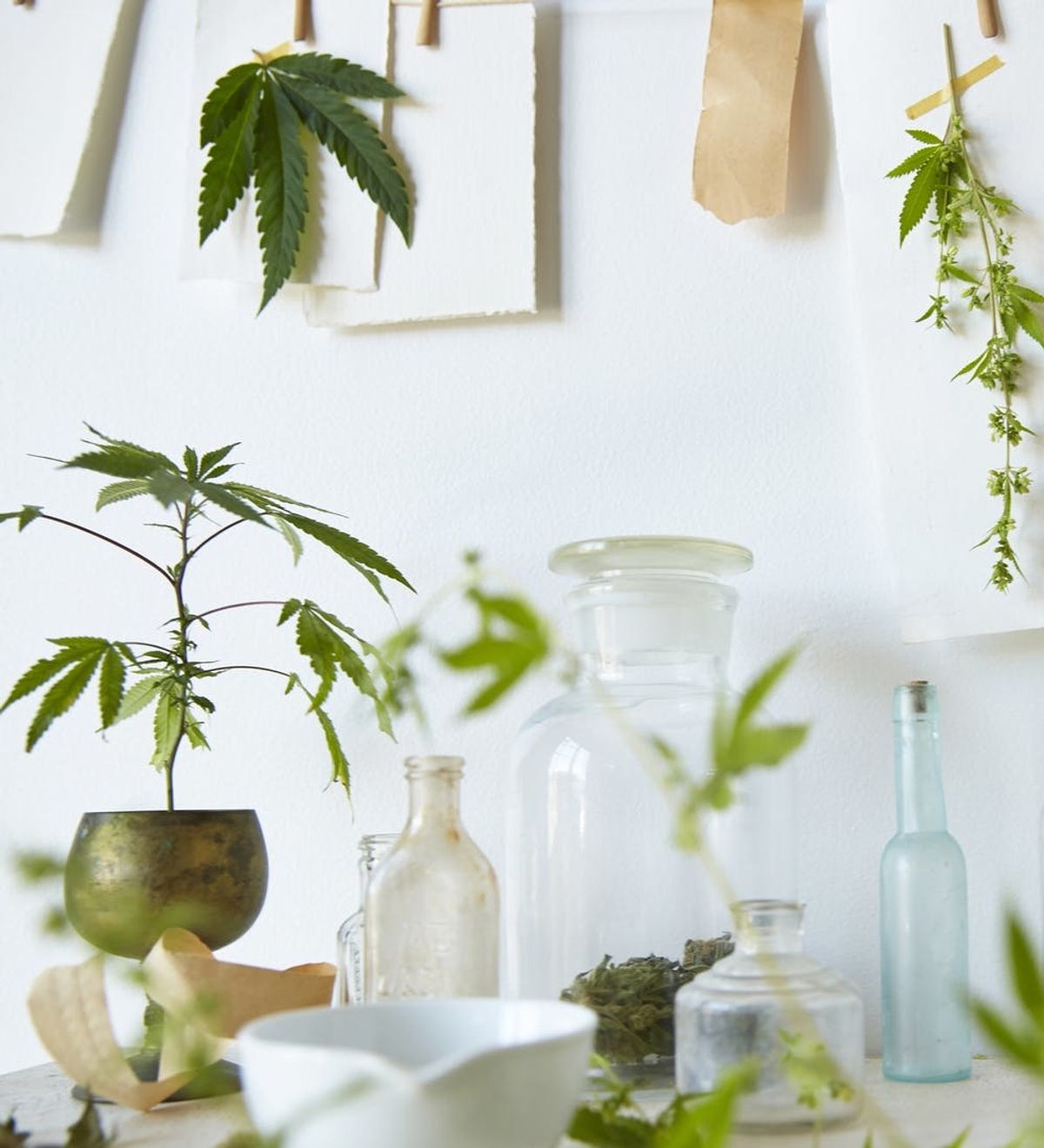 These Four States Just Legalized Recreational Weed