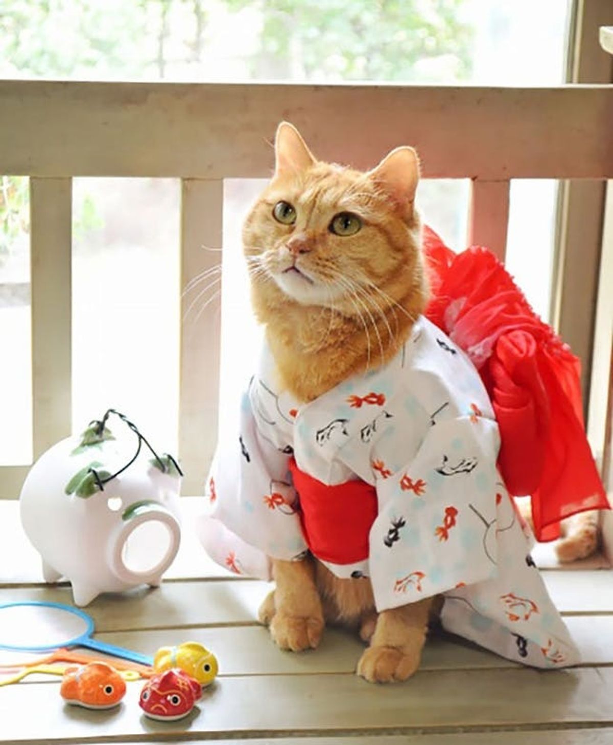 The BritList: Cats Wearing Kimonos, Leggy Tables and More