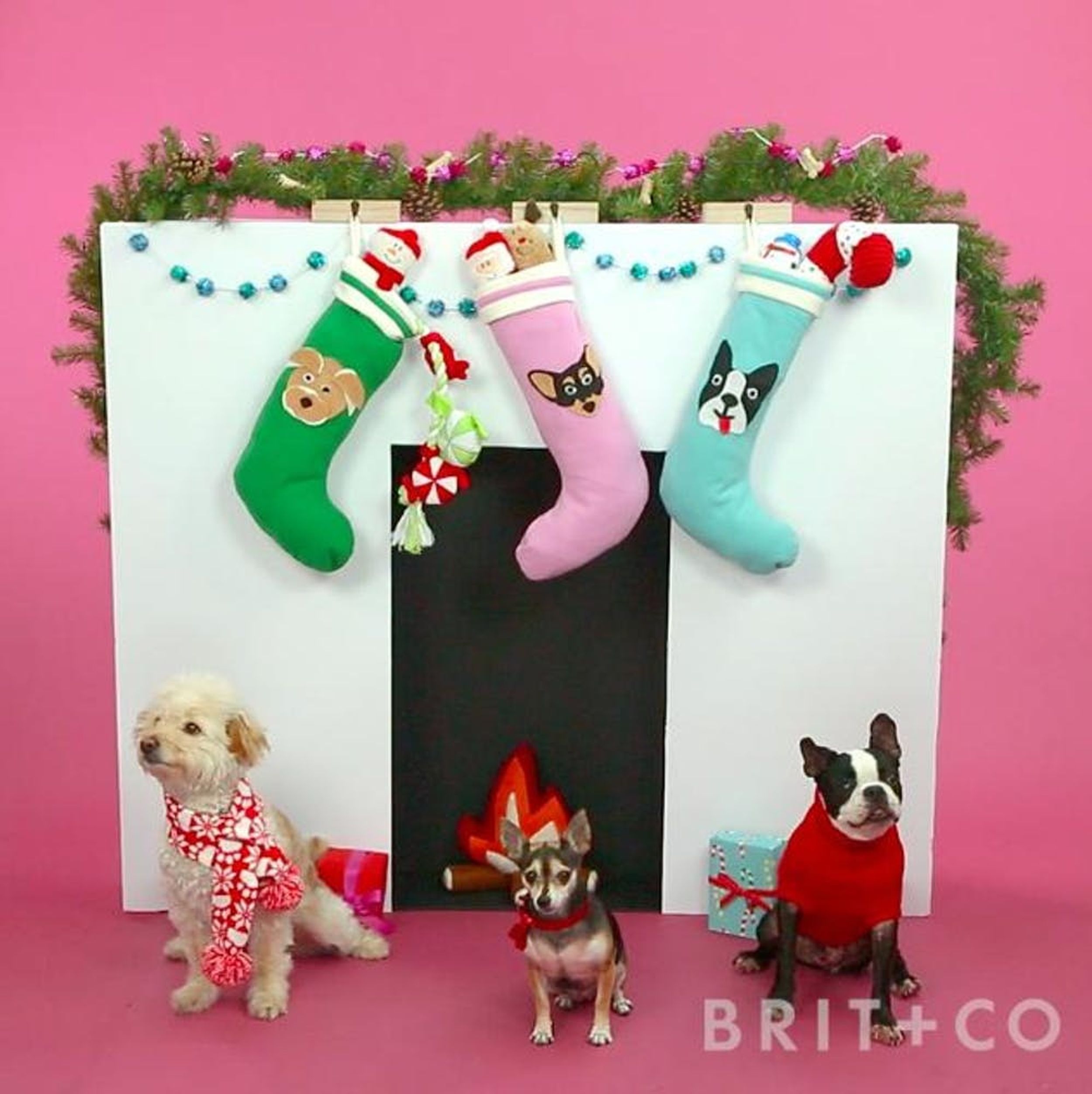 How to DIY a Dog Stocking Brit + Co