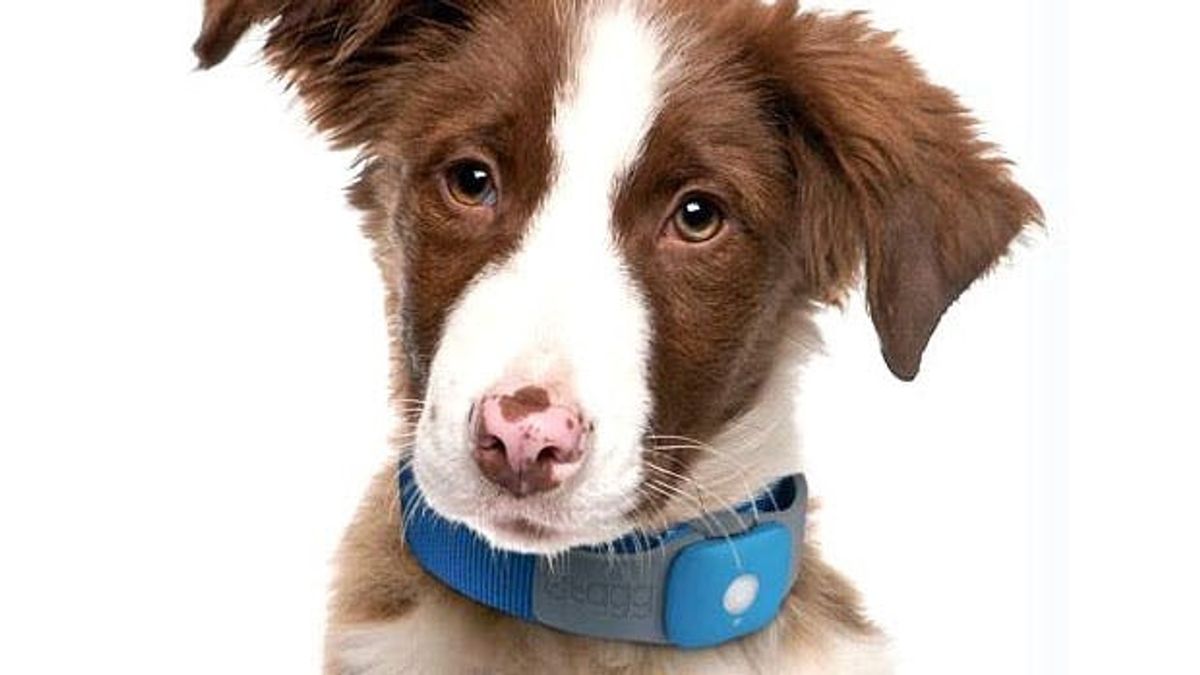 Tuesday’s Tech of the Week, Volume 1