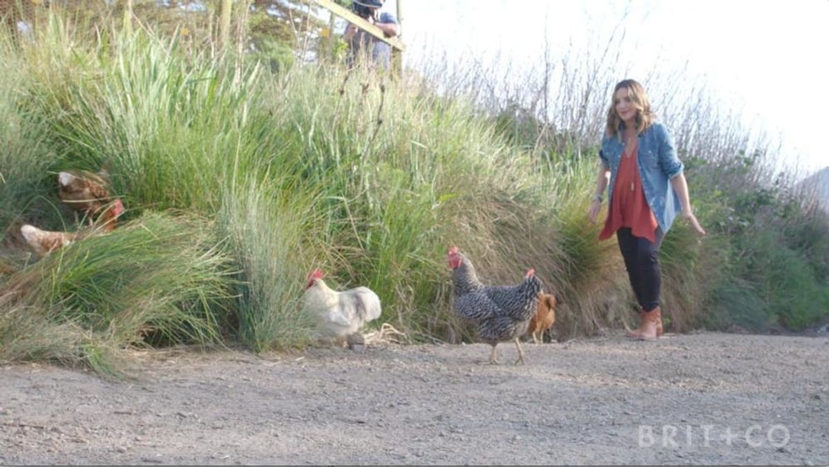 Sparked: Farming at Slide Ranch