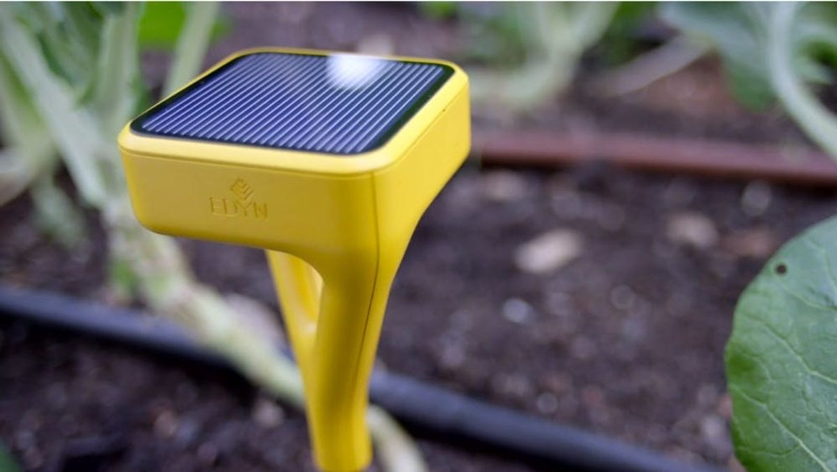 This Smartgarden Device Will FINALLY Make Your Garden Grow