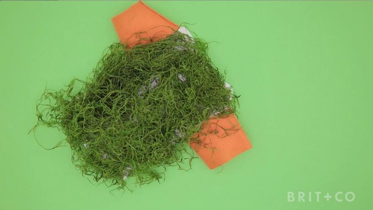 How to DIY a Chia Pet Dog Costume Brit + Co