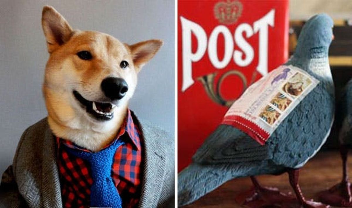 The BritList: Menswear Dog, Pigeon Post + More