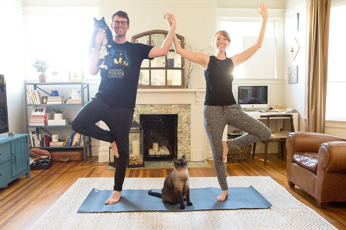 The Only Workout Routine You (and Your Cats) Need in 2016