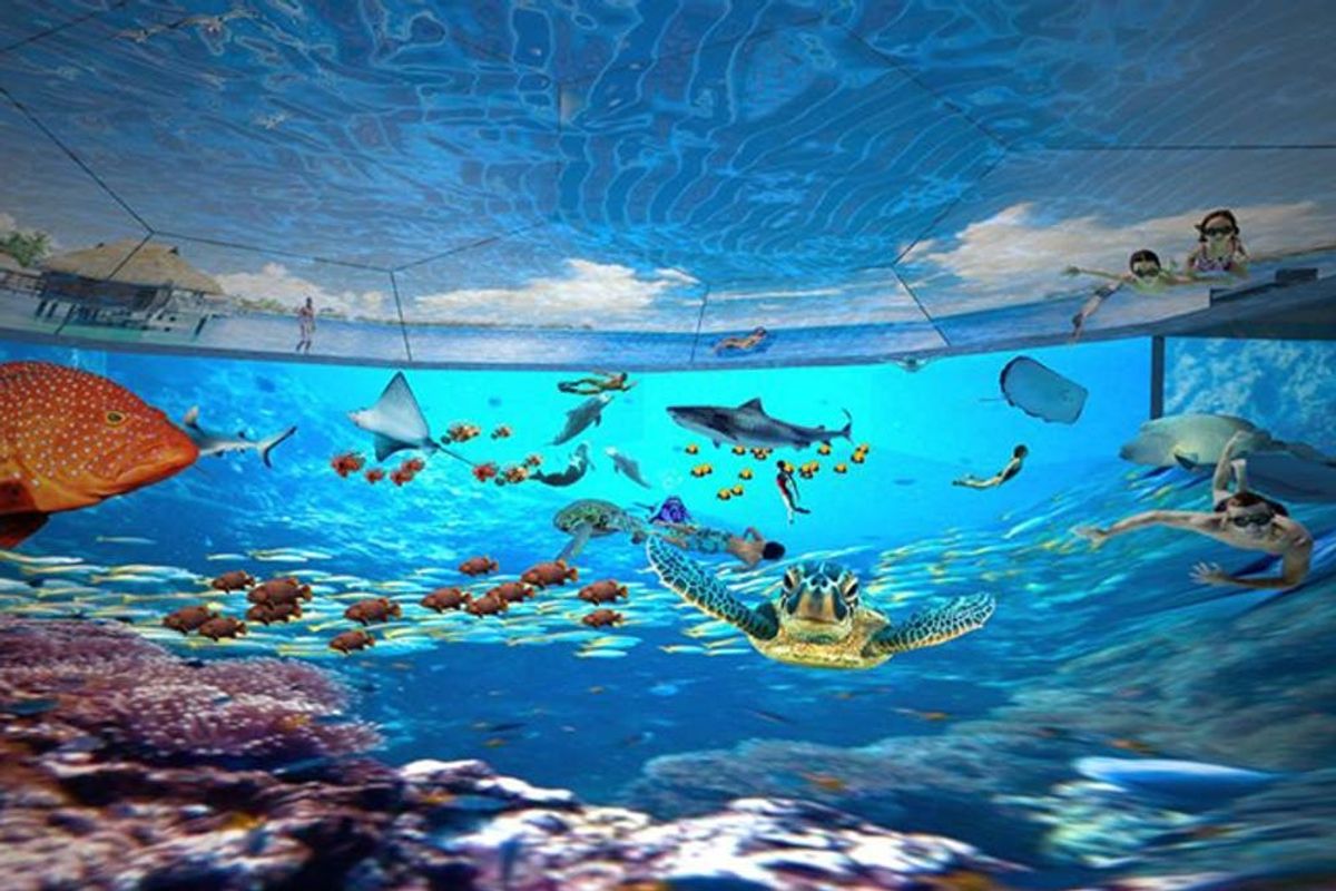 This Cool Pool Lets You Swim in Oceans Around the World