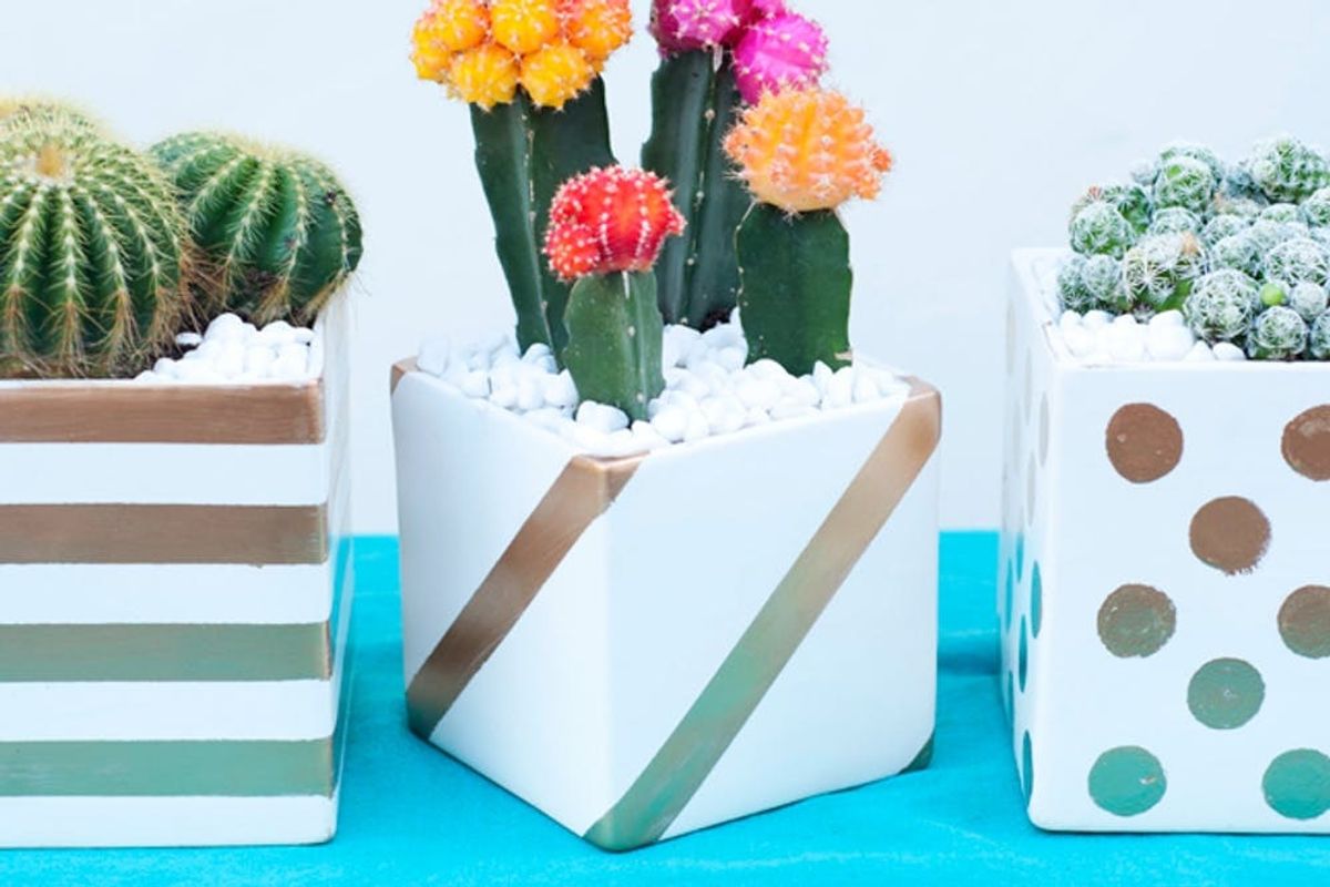 DIY Basics Gold Patterned Cactus Planters Brit + Co