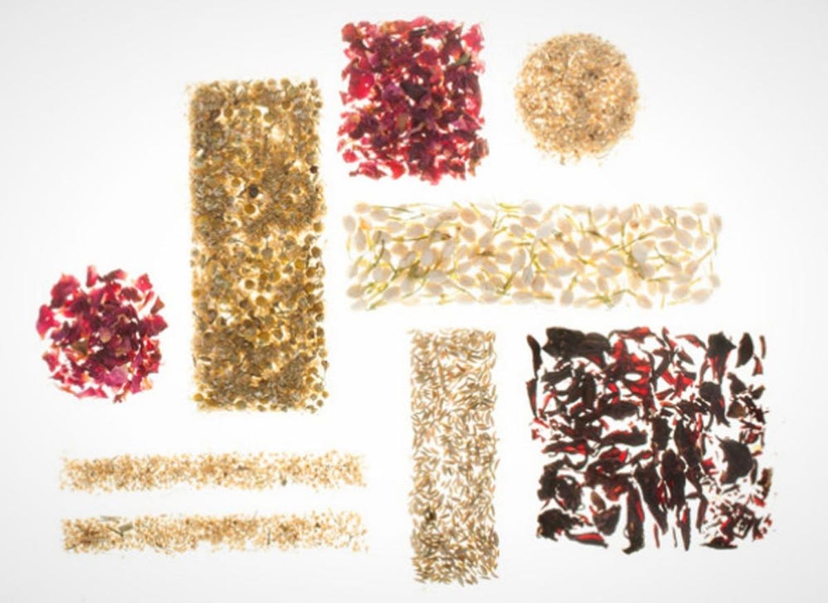 The Next Big Thing in Skincare = Brewed Tea?!