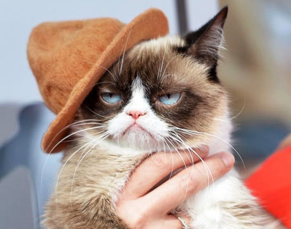 The BritList: 20 Meme Halloween Costumes You Need to See