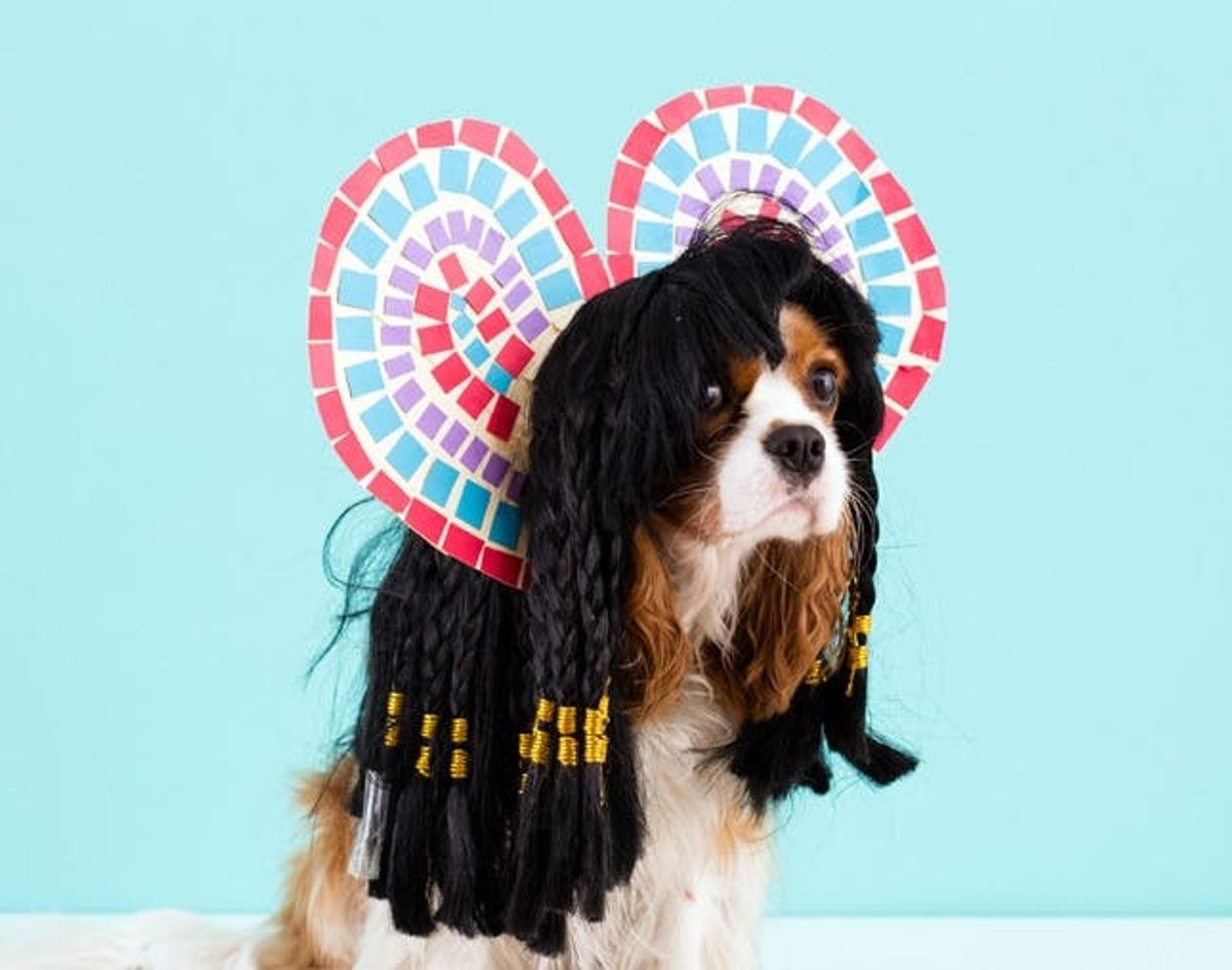 The BritList: DuckTales with Real Ducks — What More Could You Need?