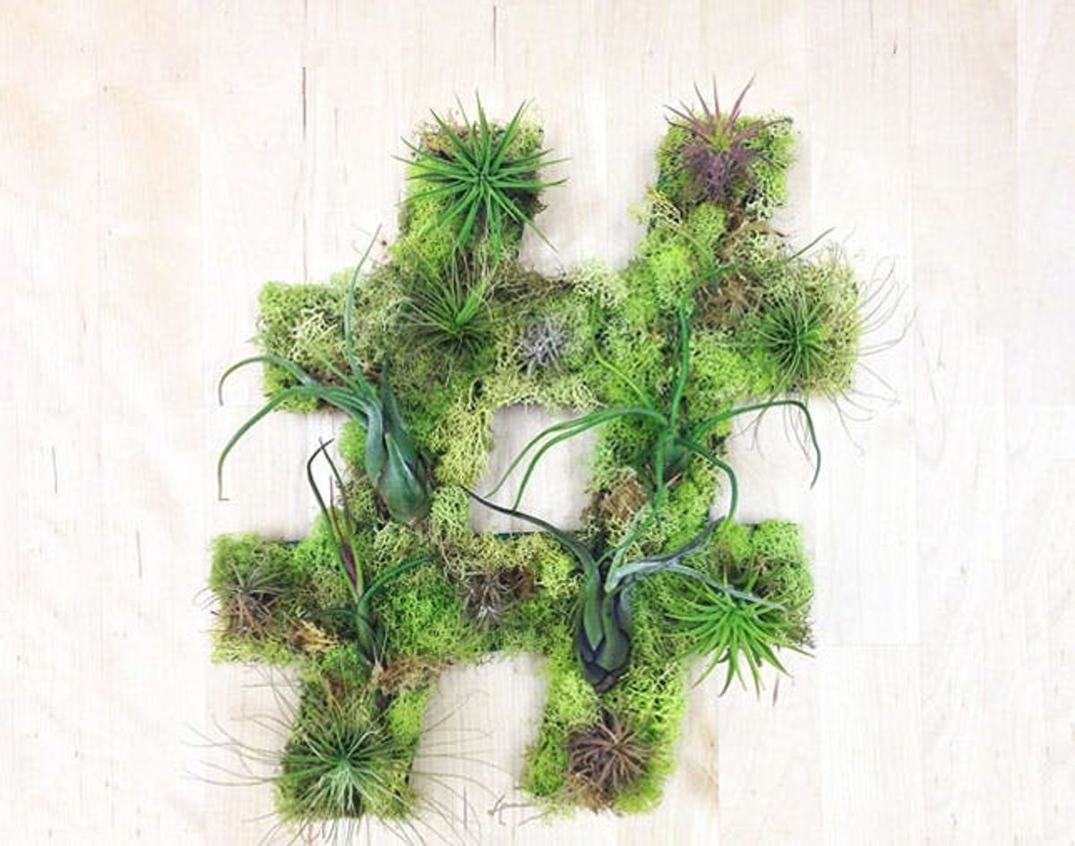 Made Us Look: The Hashtag Garden