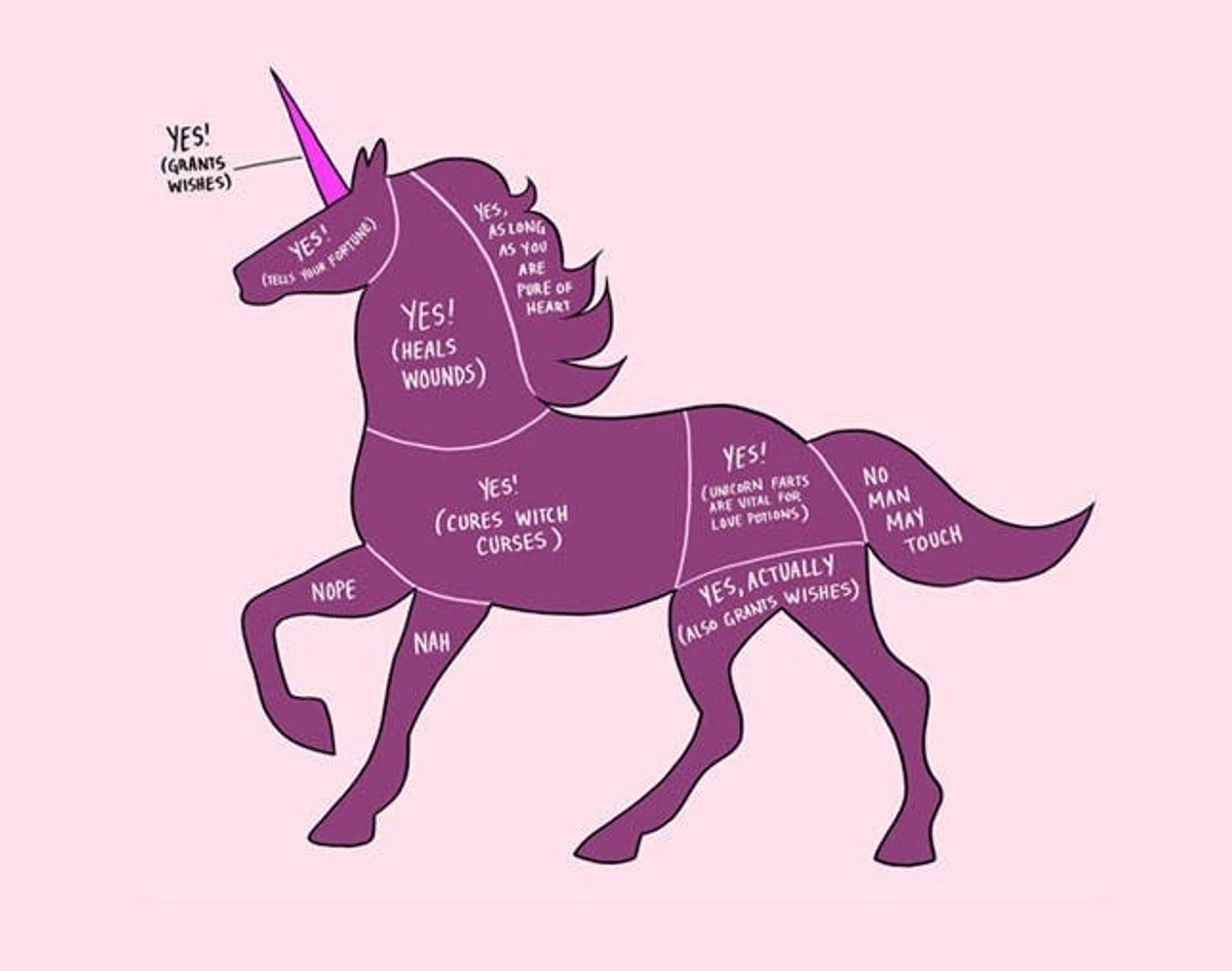 Made Us Look: The Proper Way to Pet a Unicorn