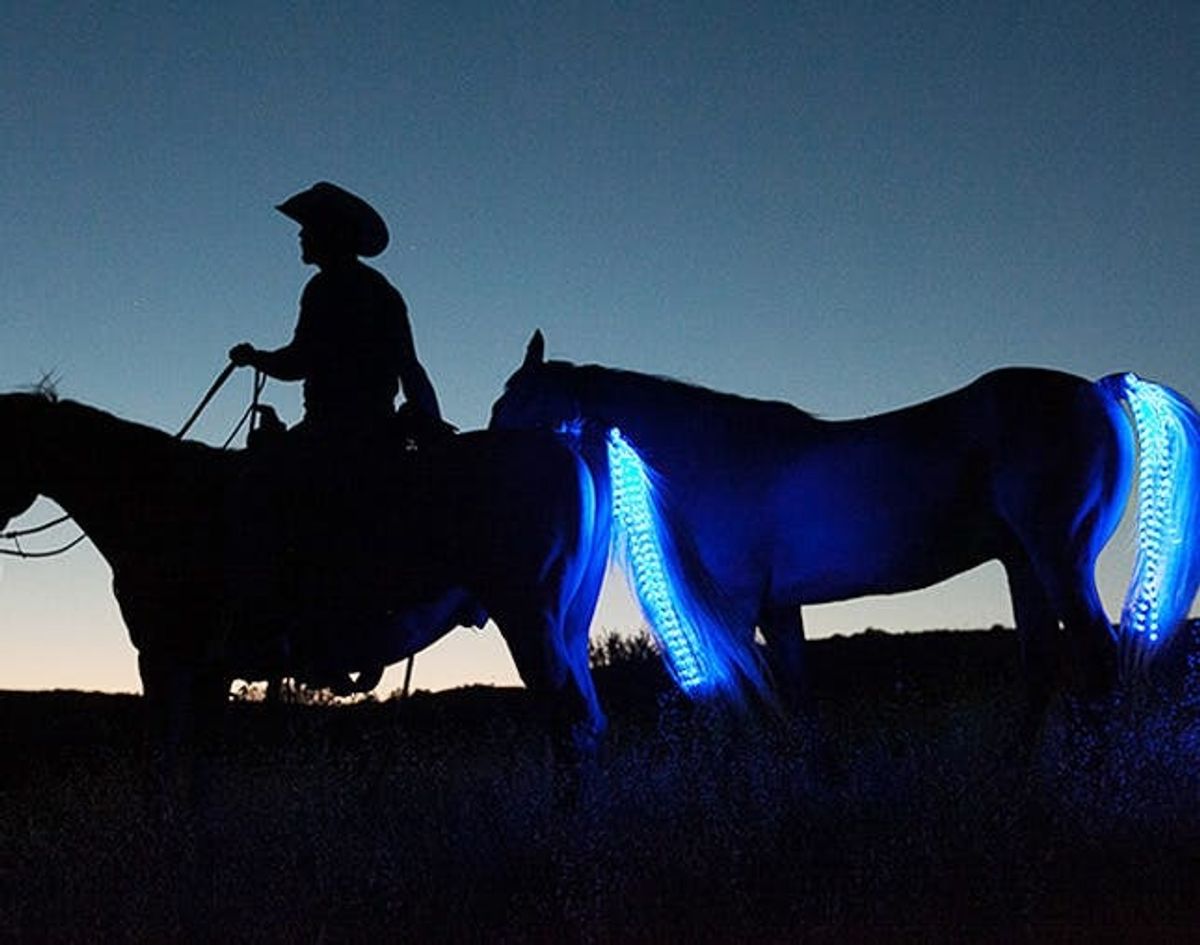 The BritList: Bad Engagement Photos, Tail Lights, and More