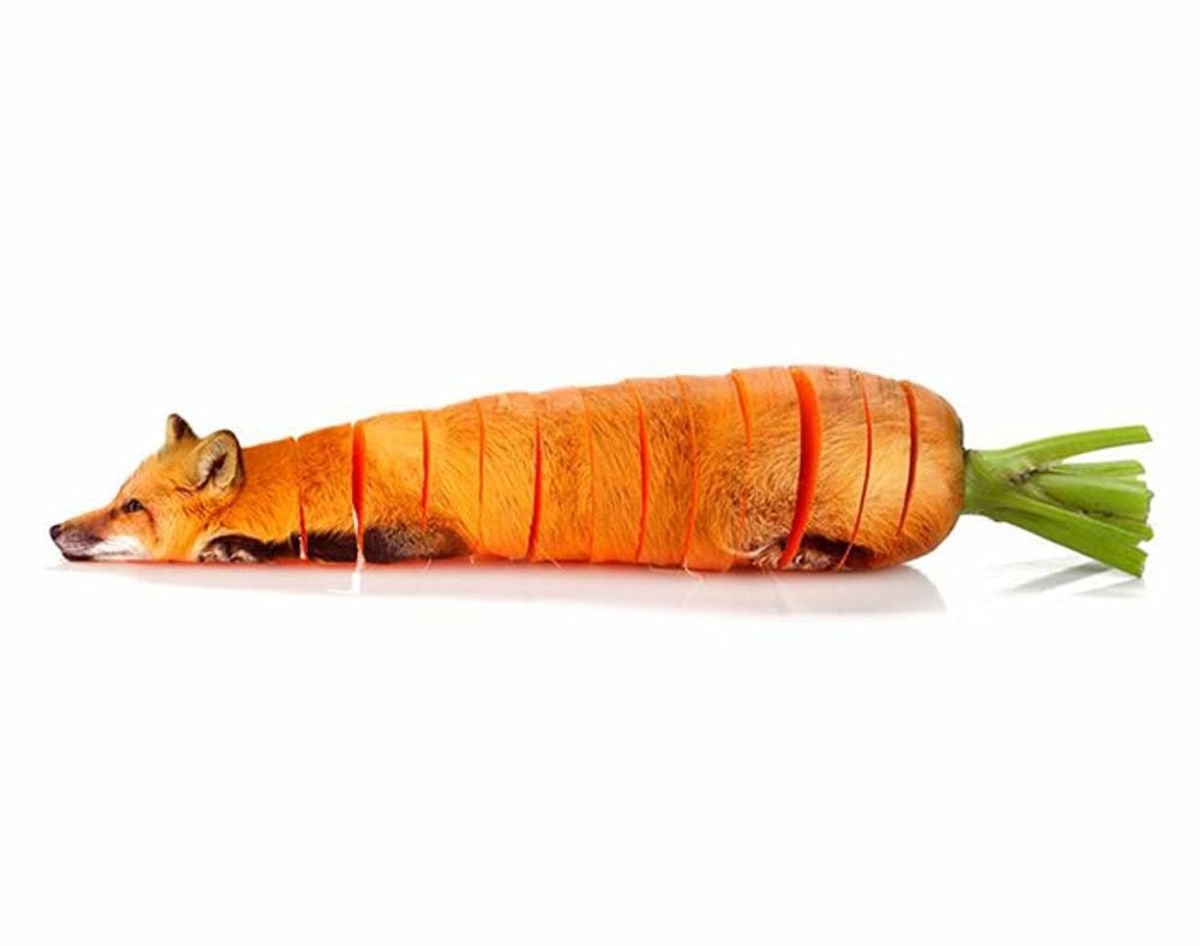 Meat Meets Veggies in This Artist’s Weird, Wild Photoshop Creations