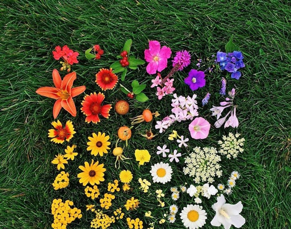 20 Reasons Why Emily Blincoe Is Your New Insta-Crush