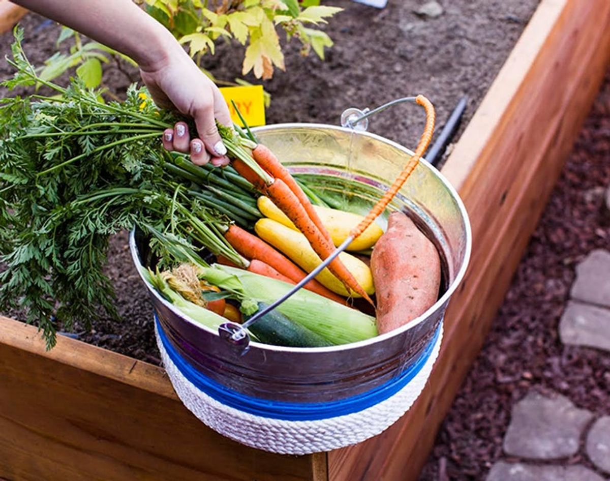 Infographic: What the Future of Food Looks Like