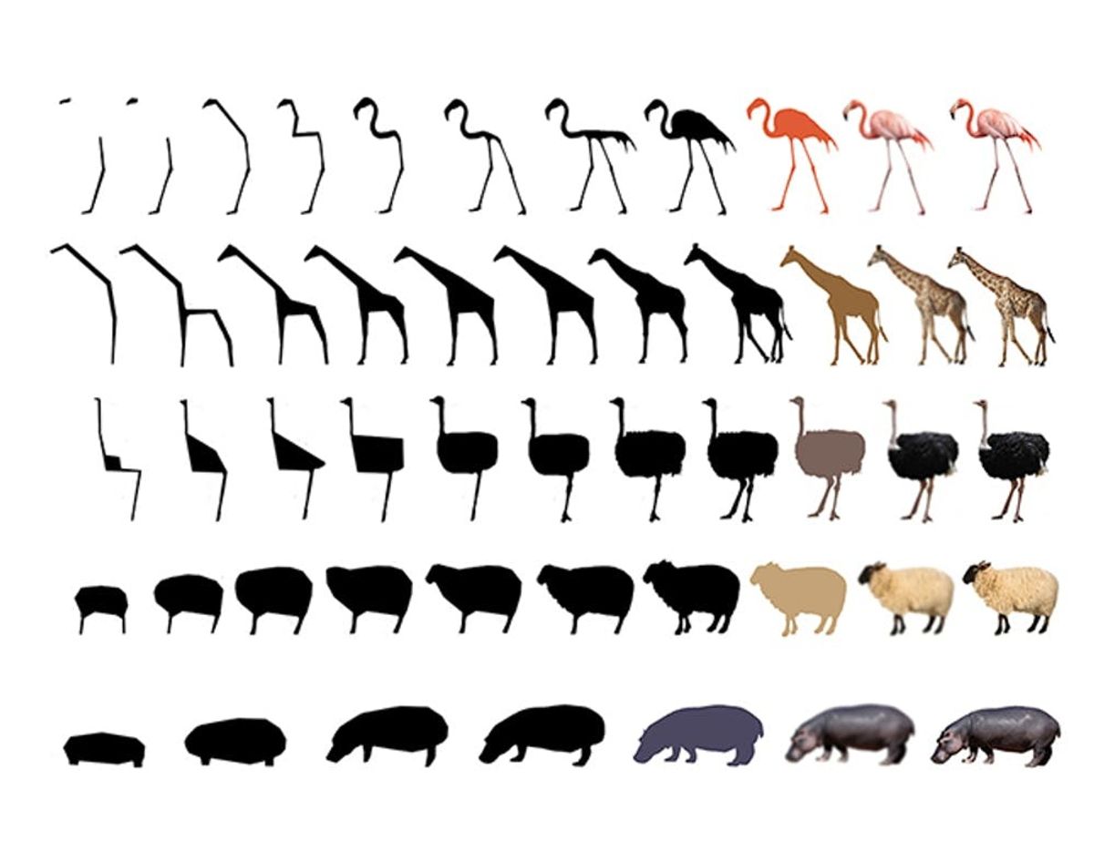 Made Us Look: Furniture Inspired by Wild Animals