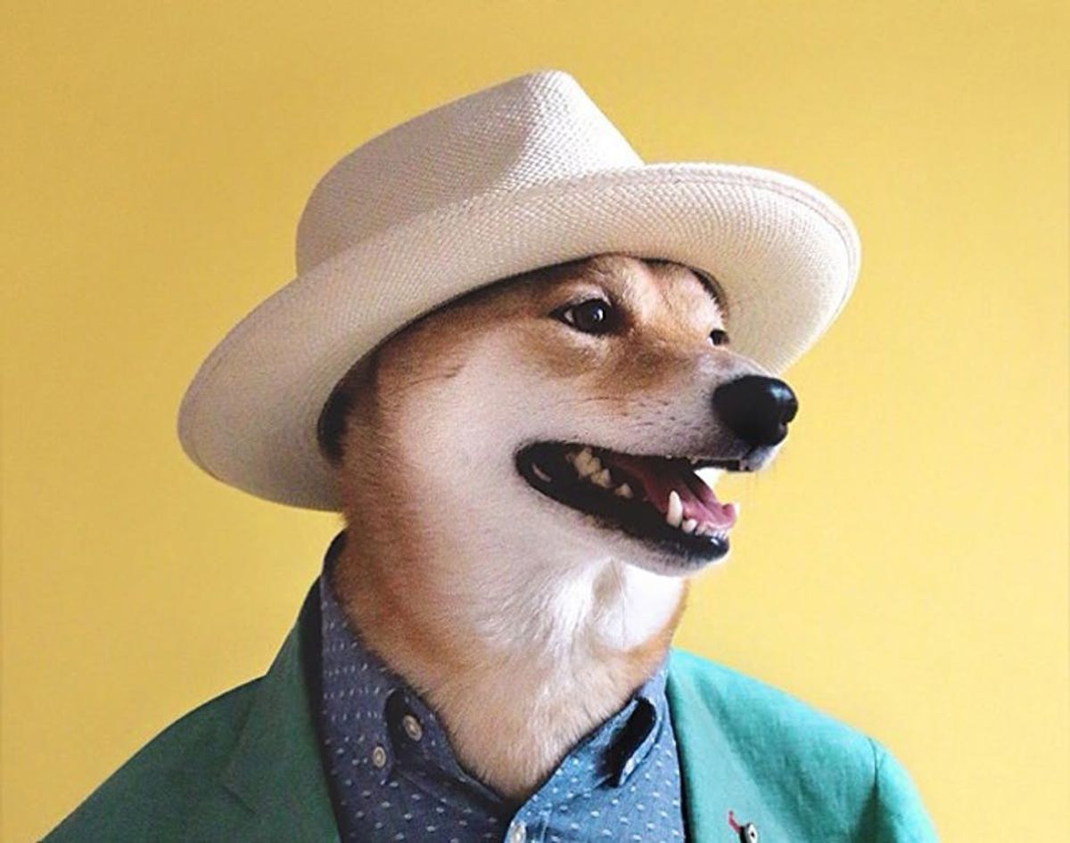 16 Instagram Accounts Guaranteed to Make You Smile