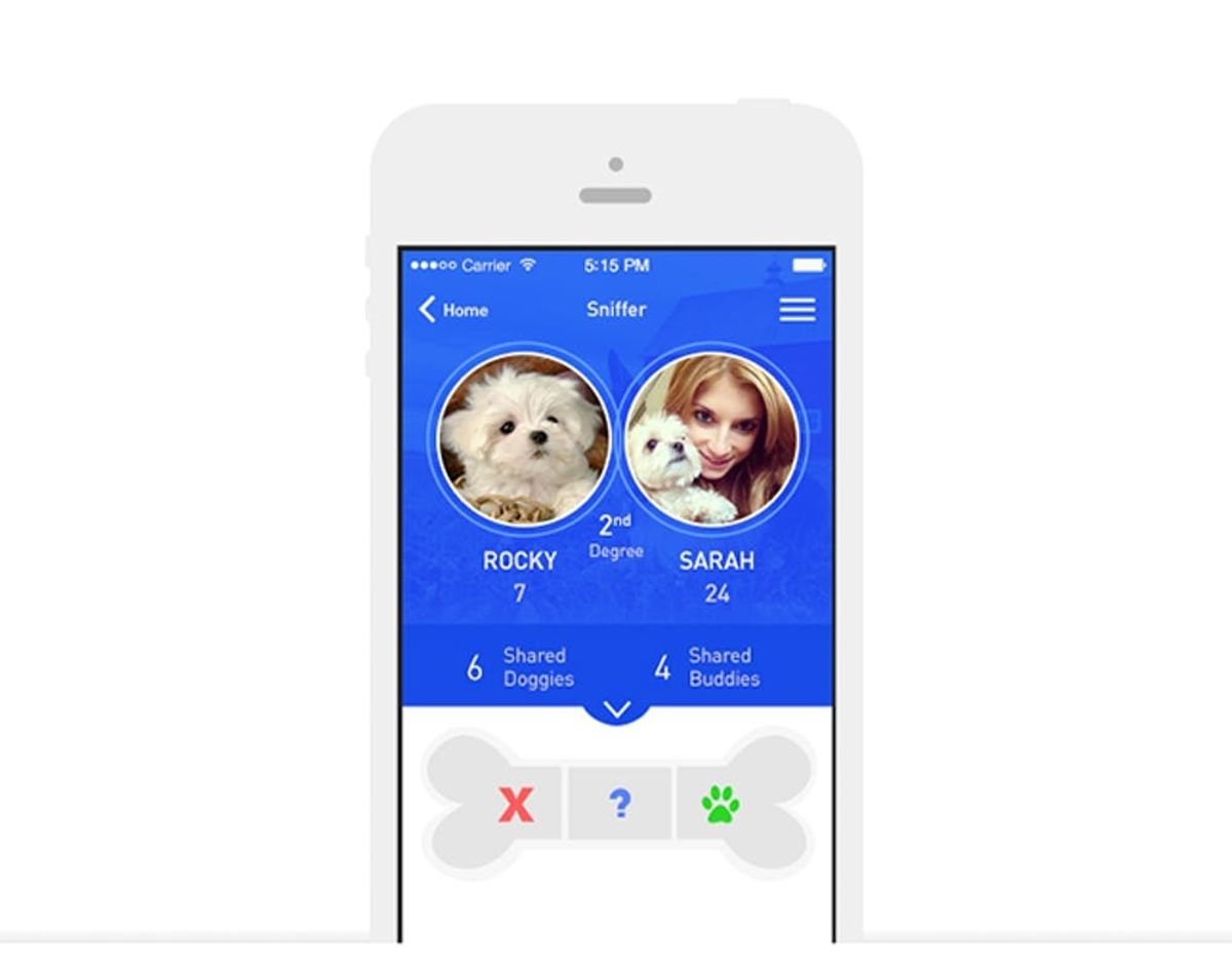 Need a Dogsitter? DoggyBnb is Tinder for Dog Owners