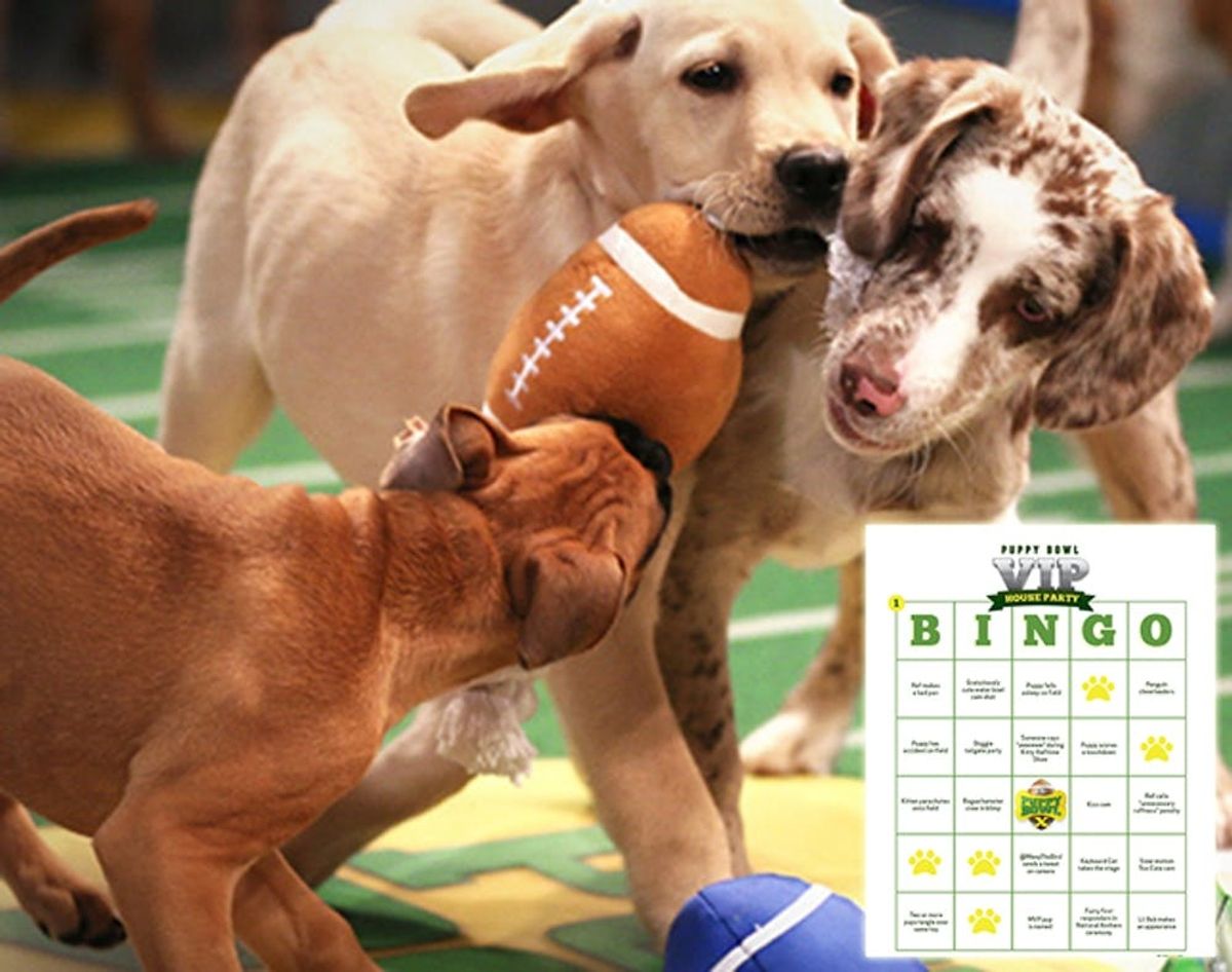 Instant MVH (Most Valuable Hostess) Status: 9 Games for Your Super Bowl Bash