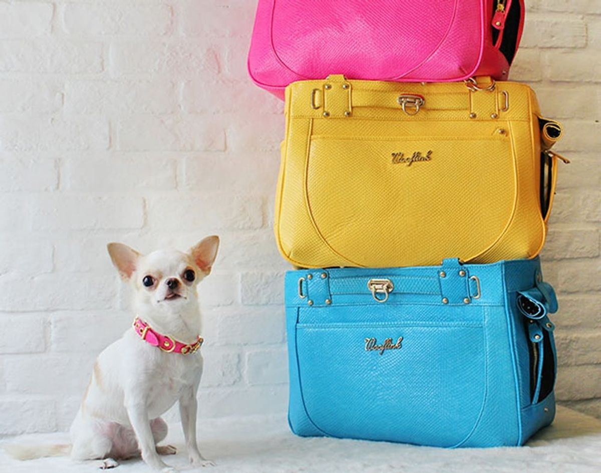 20 Smart and Stylish Pet Carriers Brit + Co
