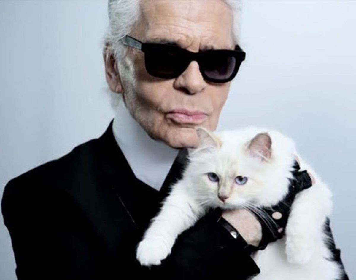 WTF: Karl Lagerfeld’s Cat Has Her Own Collection - Brit + Co