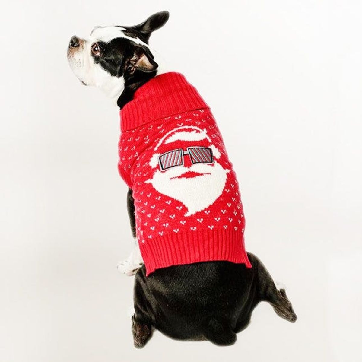 15 Ugly Christmas Sweaters for Your *Pets* to Wear This Holiday