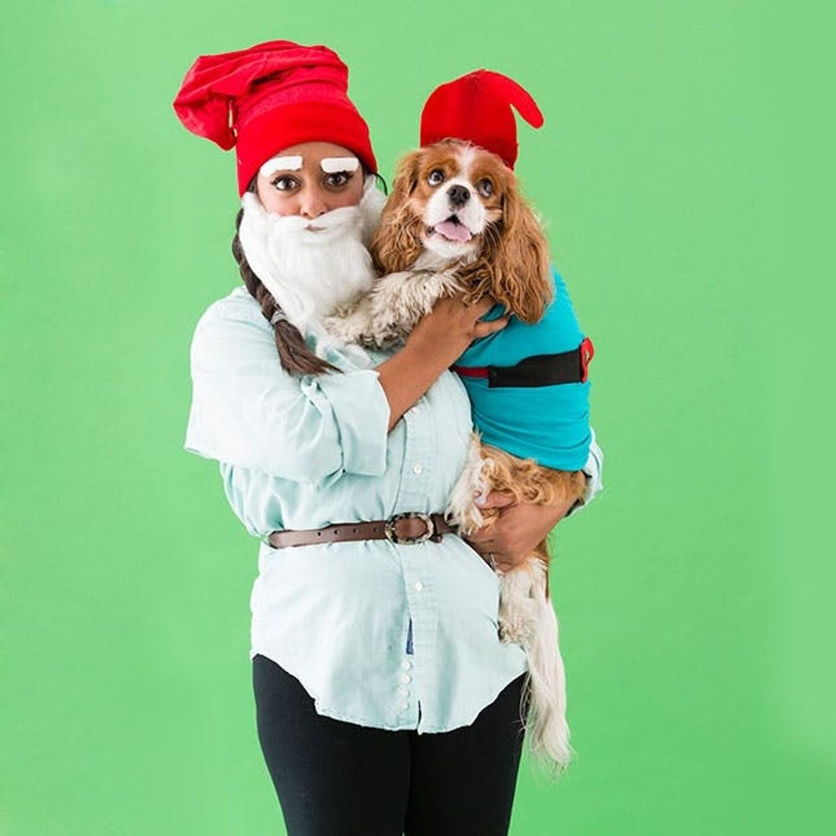 4 Funny DIY Dog and Dog Owner Costumes