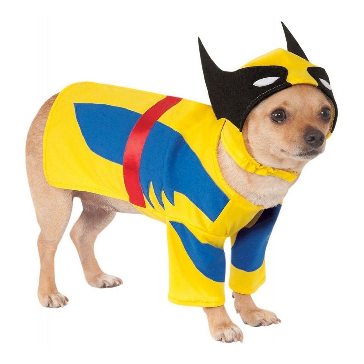 20 Superhero Halloween Costumes for Kids, Grown-Ups *AND* Dogs!