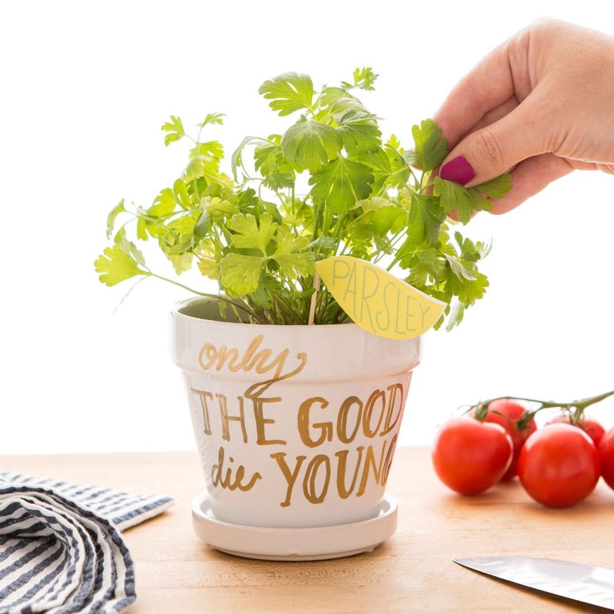 Freshen Up Your Home Cooking With This DIY Potted Parsley