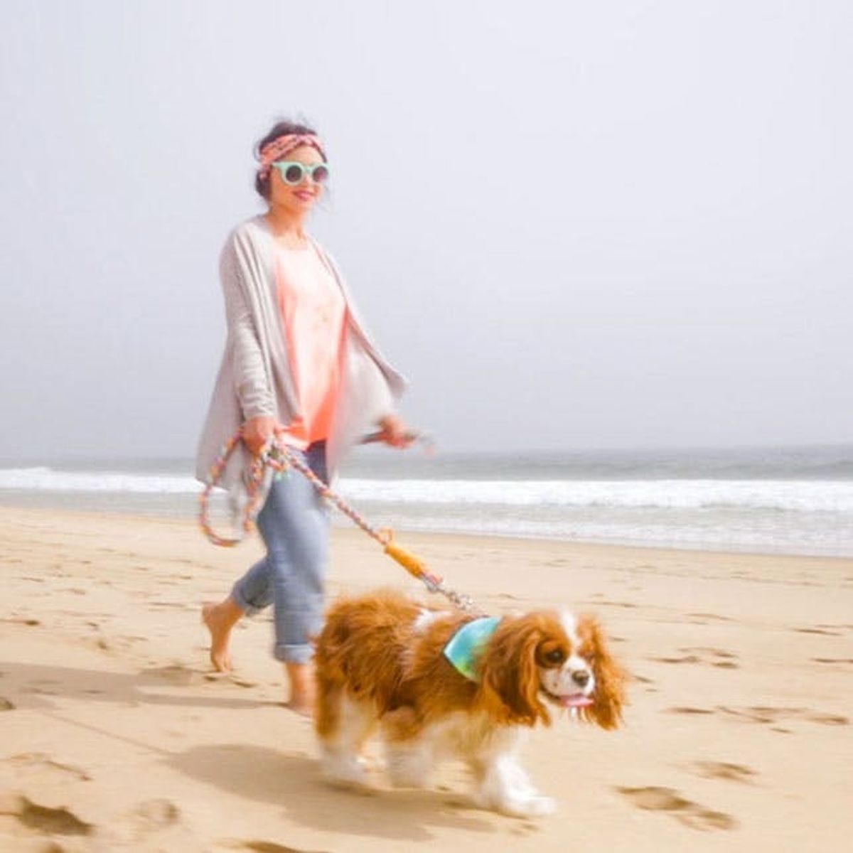5 Must-Makes for a Doggie Day-cation
